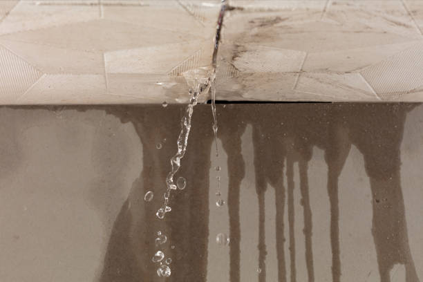 Professional Water Damage Inspection technician working in Kaweah, CA